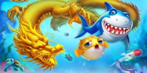 Ban Ca Doi Thuong 288k 1