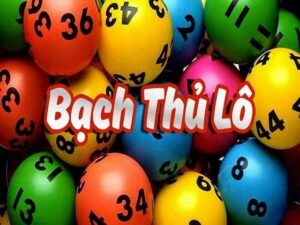 bach thu lo 288k 4