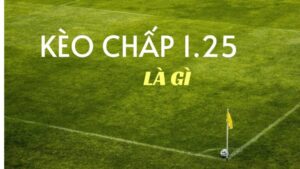 keo chap 1.25 288k 1