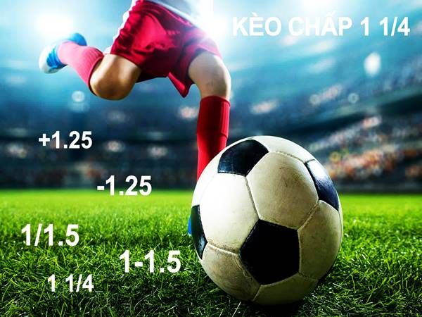 Tìm Hiểu Kèo Chấp 1.25 Trong Bóng Đá Tại 288k Cực Hay 3 Xem xét bảng tỷ lệ cược từ các nhà cái