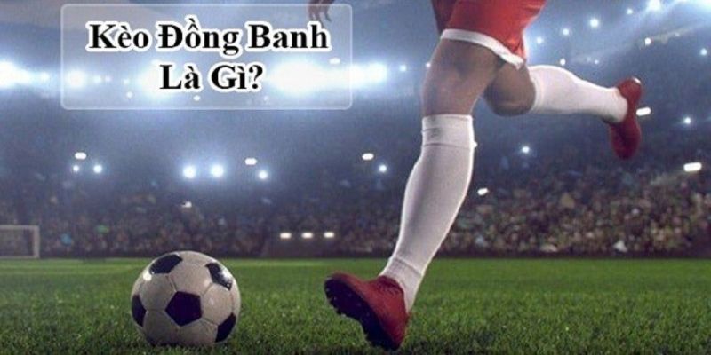 Kèo Đồng Banh Là Gì? Tất Tần Tật Những Thông Tin Quan Trọng Tại 288k 1 Kèo đồng banh là gì?