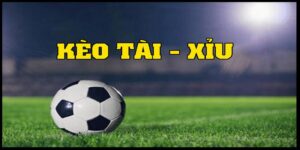 Tìm Hiểu Kèo Tài Xỉu 1.75 Và Cách Đặt Cược Chuẩn Xác Nhất 4 tai xiu 1 75 288k 1