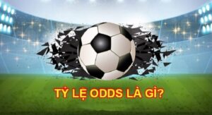 Tỷ Lệ Odds Là Gì? Hướng Dẫn Chi Tiết Về Các Kèo Odds Tại 288K 10 ty le odds 288k 1